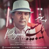 دانلود آهنگ پیوند یا حبیبی